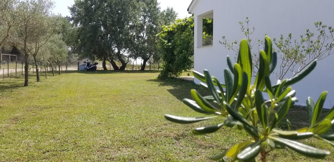 Апарт-отели Riviera Inn apartments Улцинь