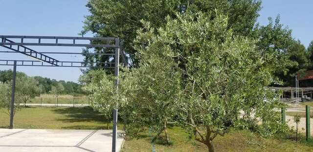 Апарт-отели Riviera Inn apartments Улцинь-17